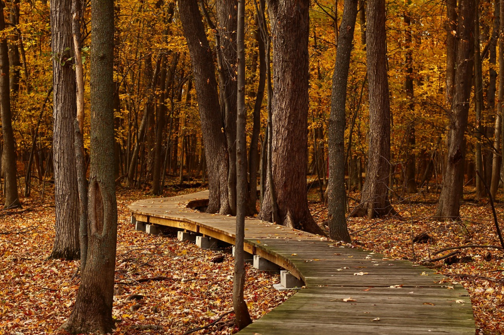photo-nature