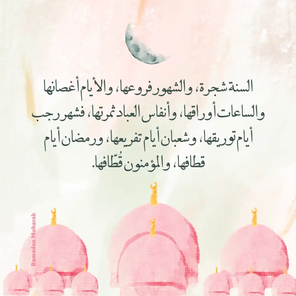السنة شجرة، والشهور فروعه