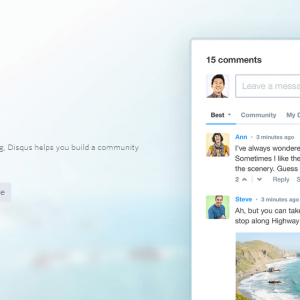 disqus commenting system