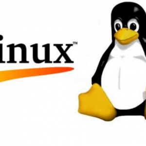 linux image