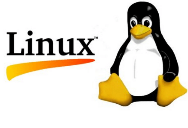 linux image