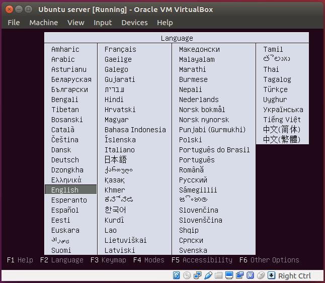 instal ubuntu server step7