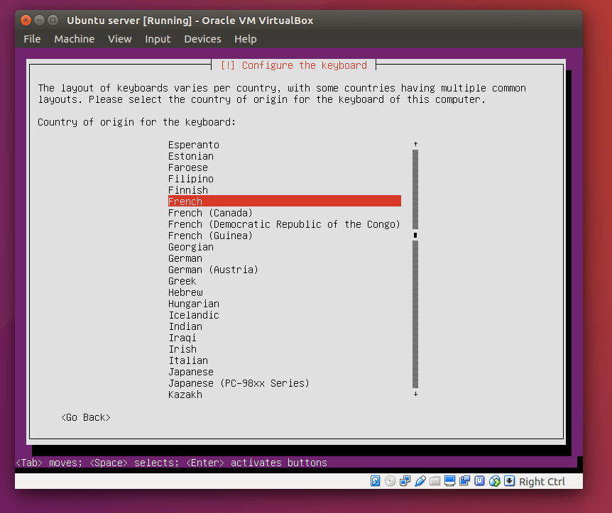 install ubuntu server13