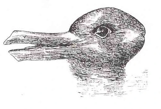 وهم Duck-Rabbit